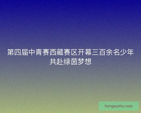 第四届中青赛西藏赛区开幕三百余名少年共赴绿茵梦想