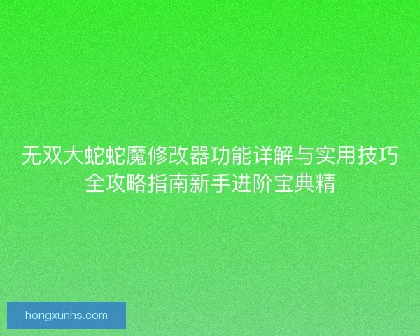 无双大蛇蛇魔修改器功能详解与实用技巧全攻略指南新手进阶宝典精 无双大蛇蛇魔修改器功能详解与实用技巧全攻略指南新手进阶宝典精